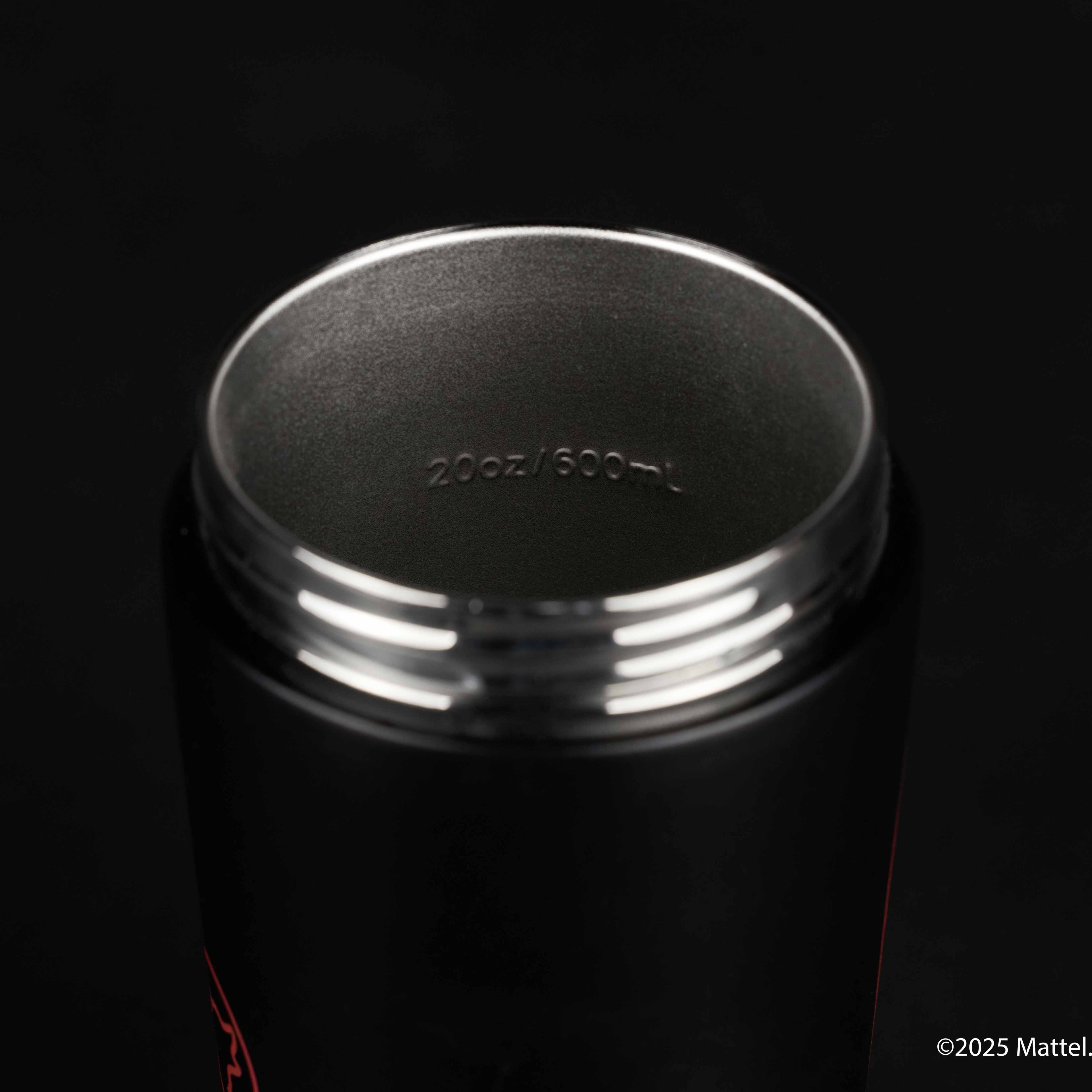 Hot Wheels Shaker