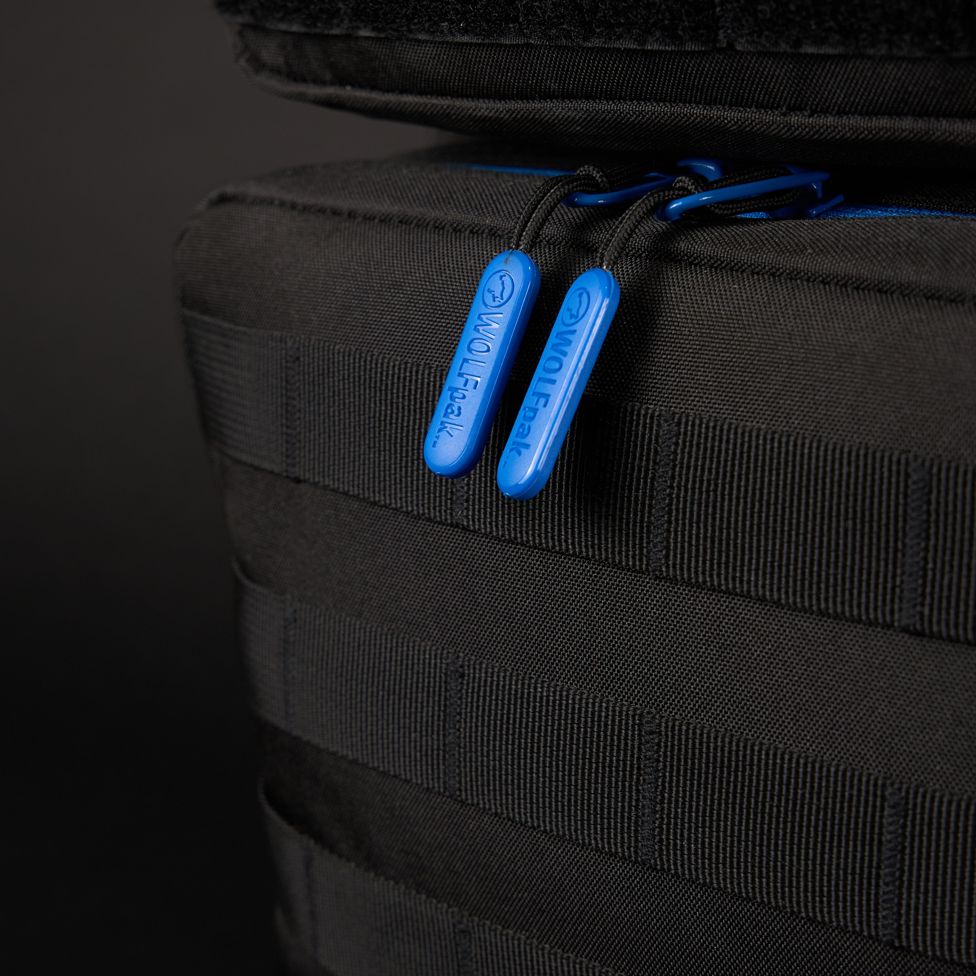 25L Backpack Blue Wolf